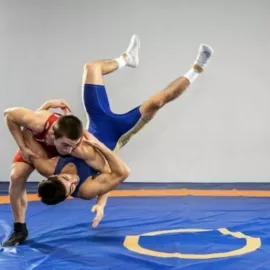 Борьба греко-римская ЦСКА Одинцово