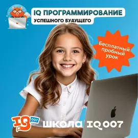 Программирование IQ007 Раменки