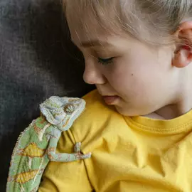 Биолаборатория Чуланчик (Павелецкая)