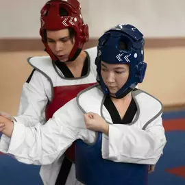 Самбо Raviga School (Солнечногорск)