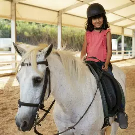 Конный спорт Гармония (Телецентр)