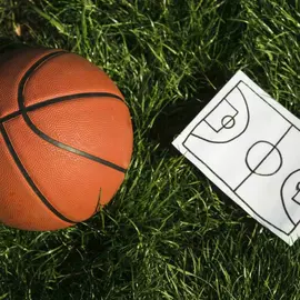 Баскетбол Хаски (Сокол)