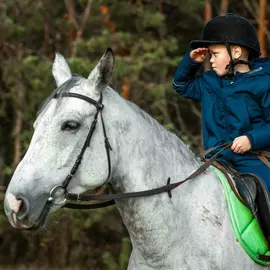 Конный спорт КСК Соловьиная Роща (ВДНХ)