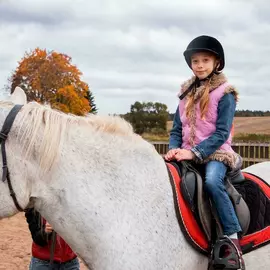 Конный спорт КСЦ Форвард (Щелковская)