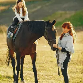 Конный спорт КСК Звёздный (Шевёлкино)