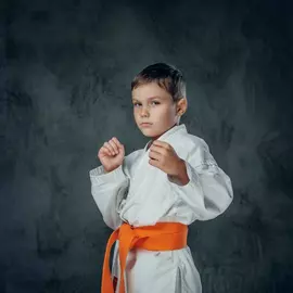 Дзюдо Развитие XXI век (Нагорная)