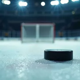 Хоккей Снегирь Арена (д. Марушкино)