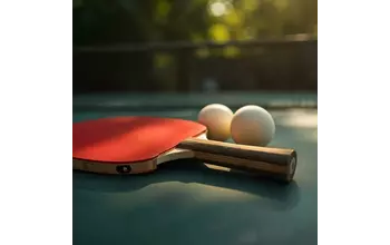 Настольный теннис СШОР (Курская)