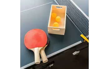 Настольный теннис СШОР (Чертановская)