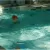 Бассейн дворца водного спорта Фили