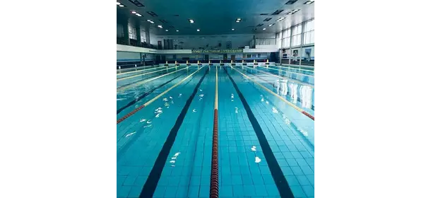 Клуб подводного спорта Speed Swimmer
