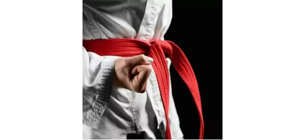 Самбо и Дзюдо в школе Займемся спортом Спартак