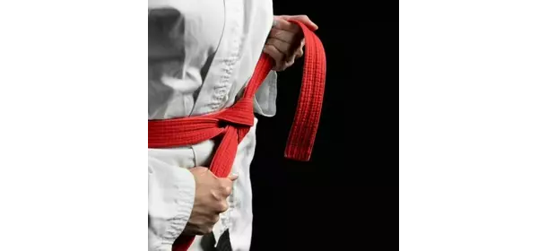Самбо и Дзюдо в школе Займемся спортом Тимирязевская