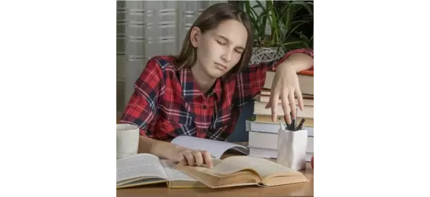 ЕГЭ по литературе ЕГЭ-Центр (Строгино)