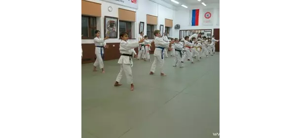 Айкидо в школе "Ёсинкан Айкидо Ryu Yu Kan Dojo" (Бибирево)