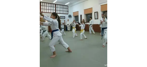 Айкидо в школе "Ёсинкан Айкидо Ryu Yu Kan Dojo" (Домодедовская)