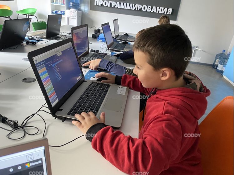 Основы программирования в Scratch в школе CODDY (Курская)