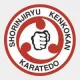 НП спортивный клуб «Развитие»