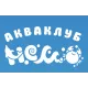 Сеть детских авиаклубов Немо