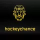 Школа хоккейного мастерства Hockey Chance